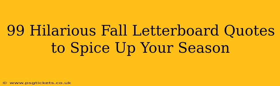 99 Hilarious Fall Letterboard Quotes to Spice Up Your Season