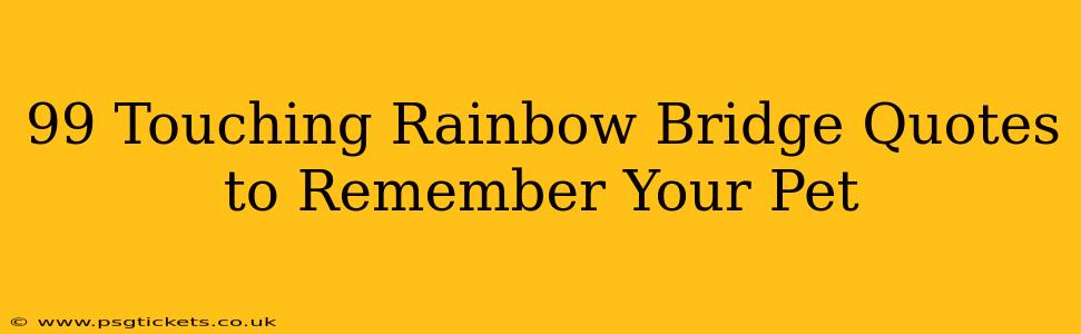 99 Touching Rainbow Bridge Quotes to Remember Your Pet
