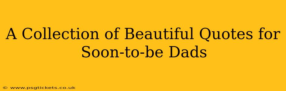A Collection of Beautiful Quotes for Soon-to-be Dads