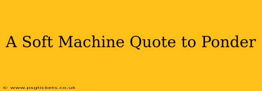 A Soft Machine Quote to Ponder