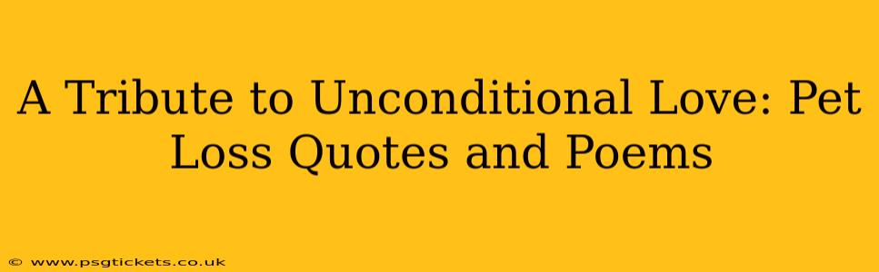 A Tribute to Unconditional Love: Pet Loss Quotes and Poems