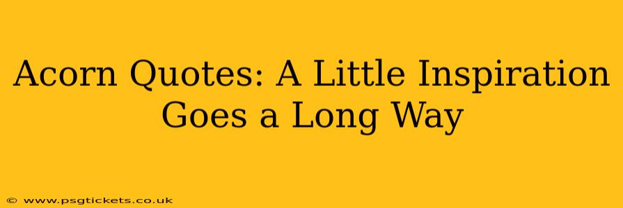 Acorn Quotes: A Little Inspiration Goes a Long Way