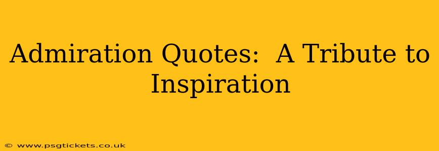 Admiration Quotes:  A Tribute to Inspiration