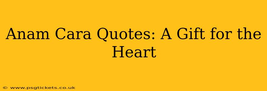 Anam Cara Quotes: A Gift for the Heart