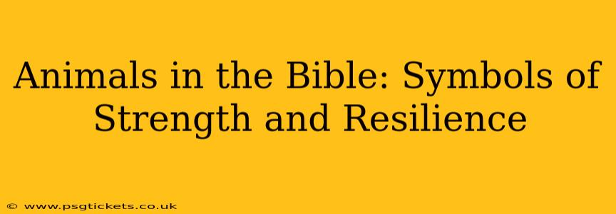 Animals in the Bible: Symbols of Strength and Resilience