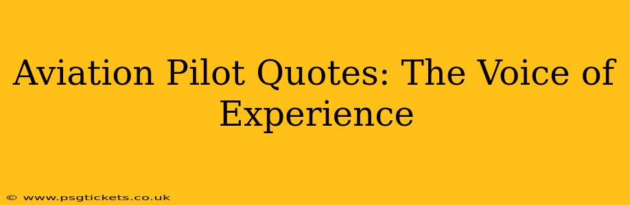 Aviation Pilot Quotes: The Voice of Experience