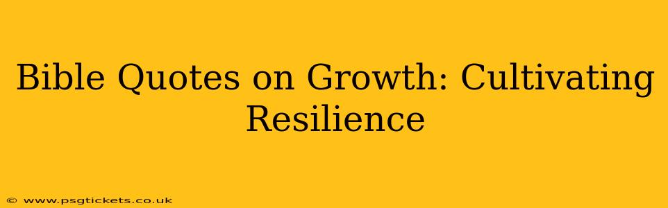 Bible Quotes on Growth: Cultivating Resilience