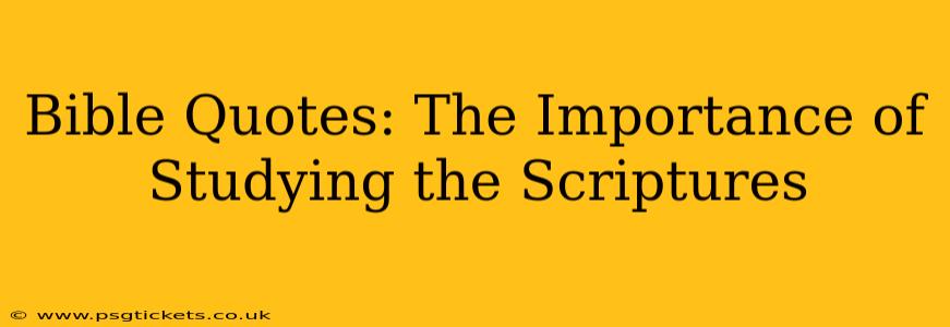 Bible Quotes: The Importance of Studying the Scriptures