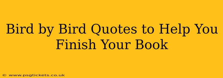 Bird by Bird Quotes to Help You Finish Your Book