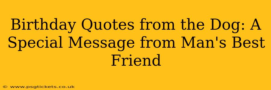 Birthday Quotes from the Dog: A Special Message from Man's Best Friend