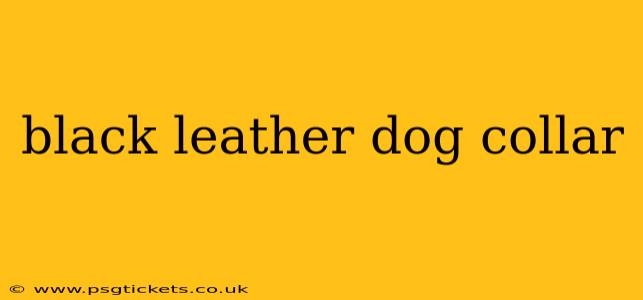 black leather dog collar