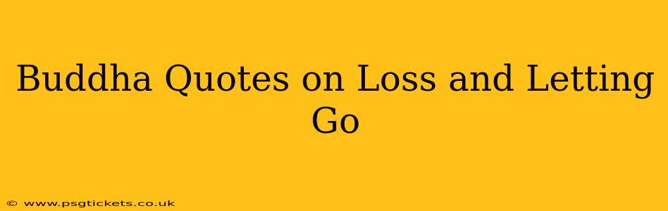 Buddha Quotes on Loss and Letting Go