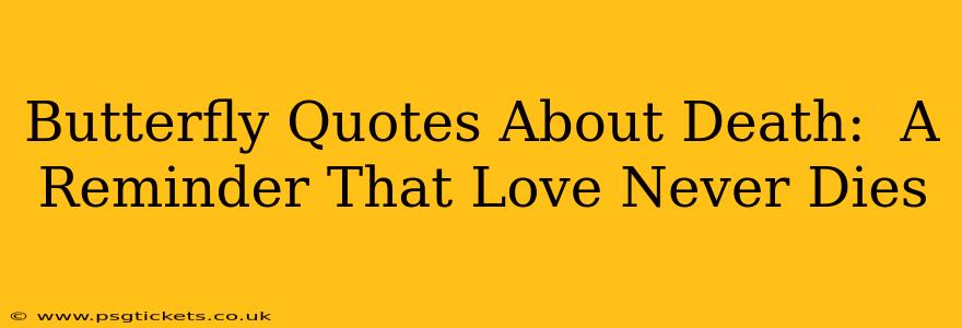 Butterfly Quotes About Death:  A Reminder That Love Never Dies