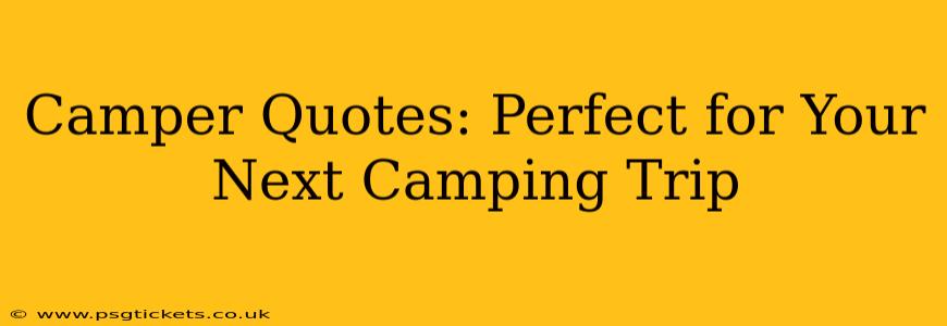 Camper Quotes: Perfect for Your Next Camping Trip