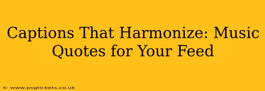 Captions That Harmonize: Music Quotes for Your Feed