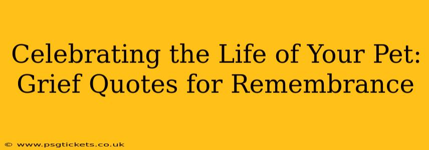 Celebrating the Life of Your Pet: Grief Quotes for Remembrance