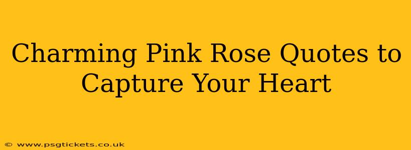 Charming Pink Rose Quotes to Capture Your Heart