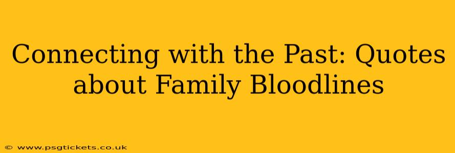 Connecting with the Past: Quotes about Family Bloodlines