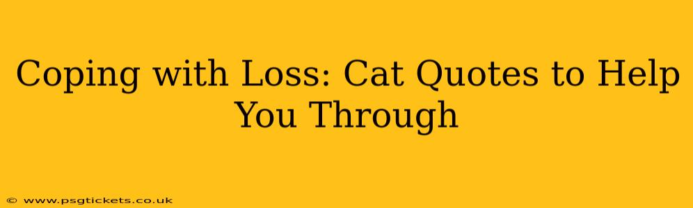 Coping with Loss: Cat Quotes to Help You Through