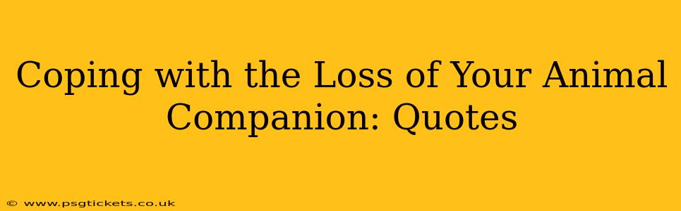 Coping with the Loss of Your Animal Companion: Quotes