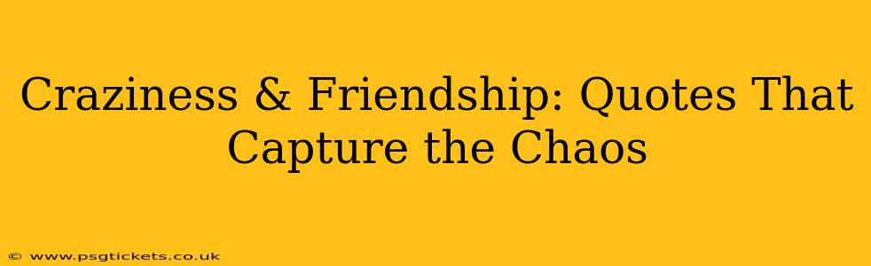 Craziness & Friendship: Quotes That Capture the Chaos