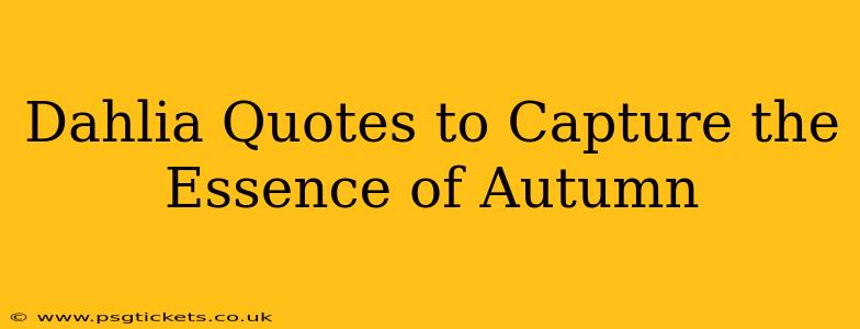 Dahlia Quotes to Capture the Essence of Autumn