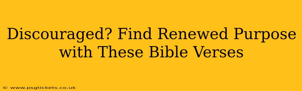 Discouraged? Find Renewed Purpose with These Bible Verses