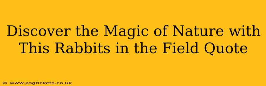 Discover the Magic of Nature with This Rabbits in the Field Quote