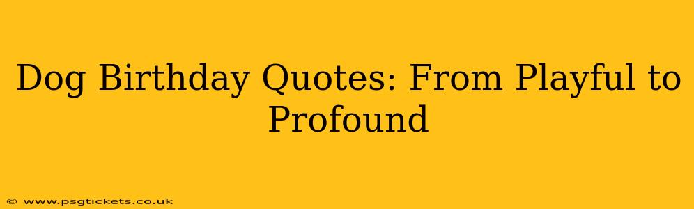 Dog Birthday Quotes: From Playful to Profound