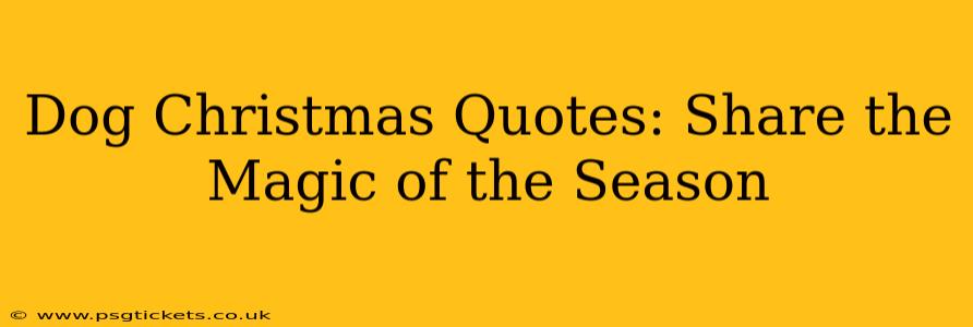 Dog Christmas Quotes: Share the Magic of the Season