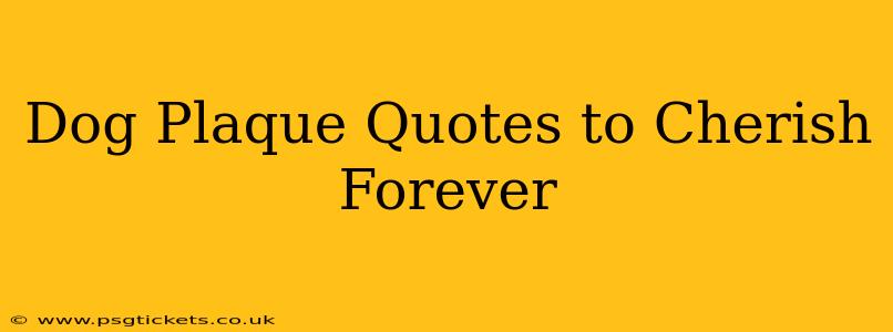 Dog Plaque Quotes to Cherish Forever