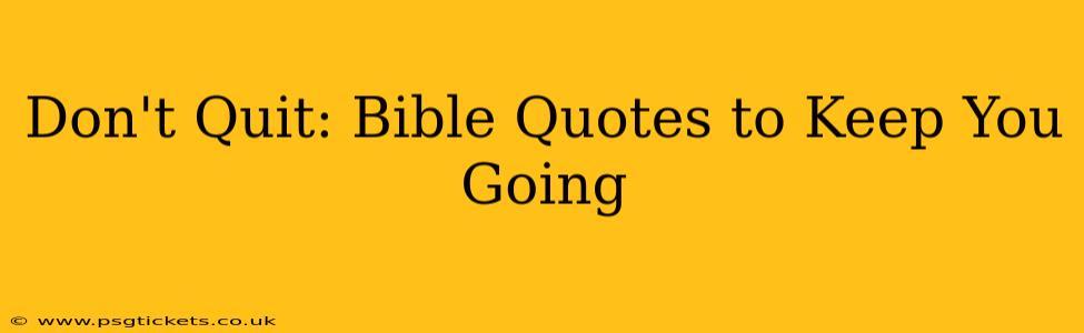 Don't Quit: Bible Quotes to Keep You Going