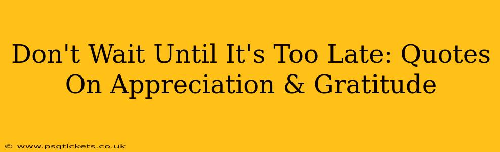 Don't Wait Until It's Too Late: Quotes On Appreciation & Gratitude