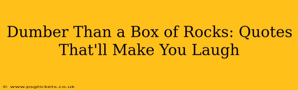 Dumber Than a Box of Rocks: Quotes That'll Make You Laugh