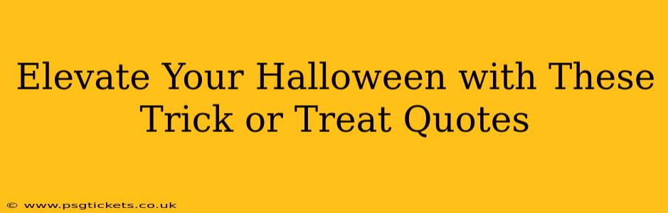 Elevate Your Halloween with These Trick or Treat Quotes