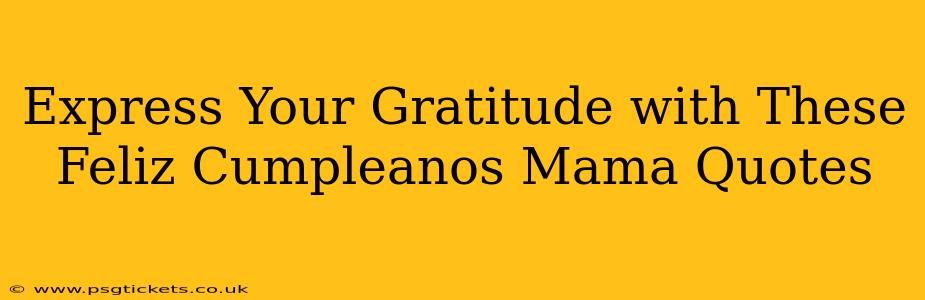 Express Your Gratitude with These Feliz Cumpleanos Mama Quotes