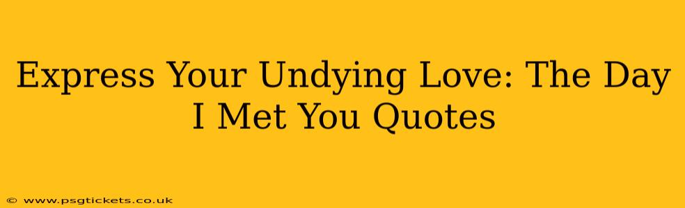 Express Your Undying Love: The Day I Met You Quotes