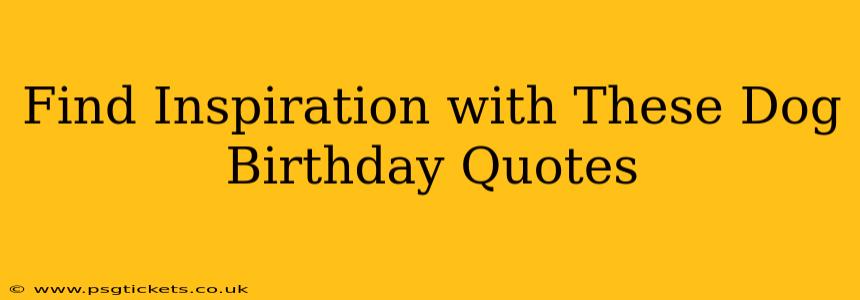 Find Inspiration with These Dog Birthday Quotes