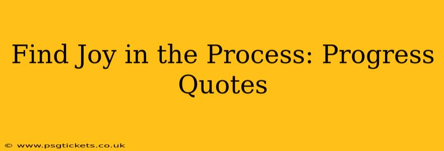 Find Joy in the Process: Progress Quotes
