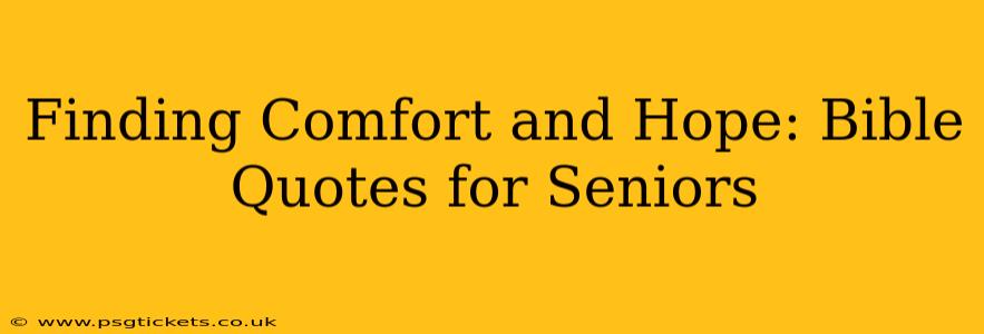 Finding Comfort and Hope: Bible Quotes for Seniors