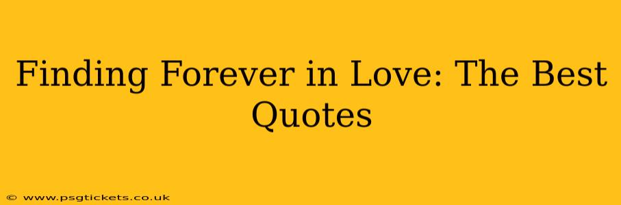 Finding Forever in Love: The Best Quotes