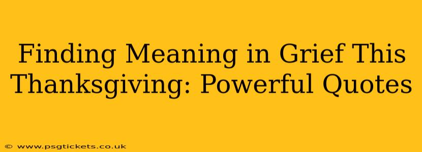 Finding Meaning in Grief This Thanksgiving: Powerful Quotes