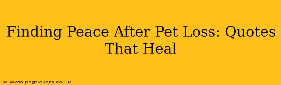 Finding Peace After Pet Loss: Quotes That Heal