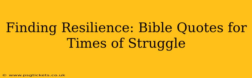 Finding Resilience: Bible Quotes for Times of Struggle