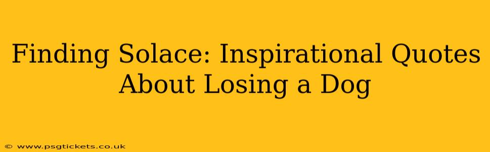 Finding Solace: Inspirational Quotes About Losing a Dog