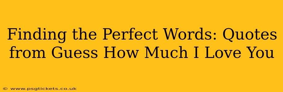 Finding the Perfect Words: Quotes from Guess How Much I Love You