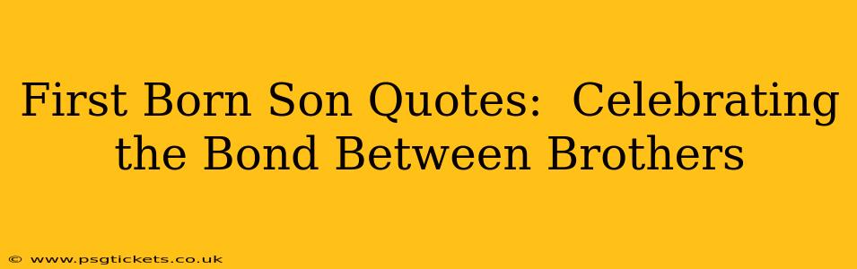 First Born Son Quotes:  Celebrating the Bond Between Brothers