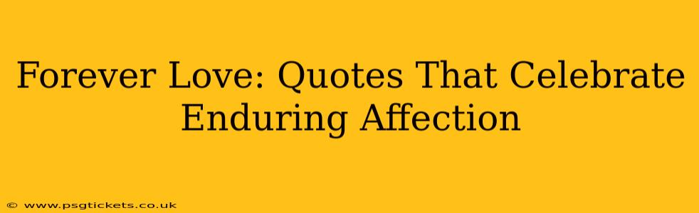 Forever Love: Quotes That Celebrate Enduring Affection