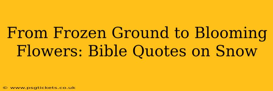 From Frozen Ground to Blooming Flowers: Bible Quotes on Snow