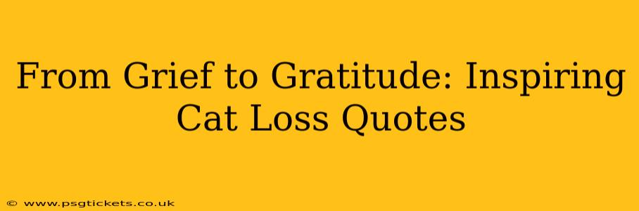 From Grief to Gratitude: Inspiring Cat Loss Quotes